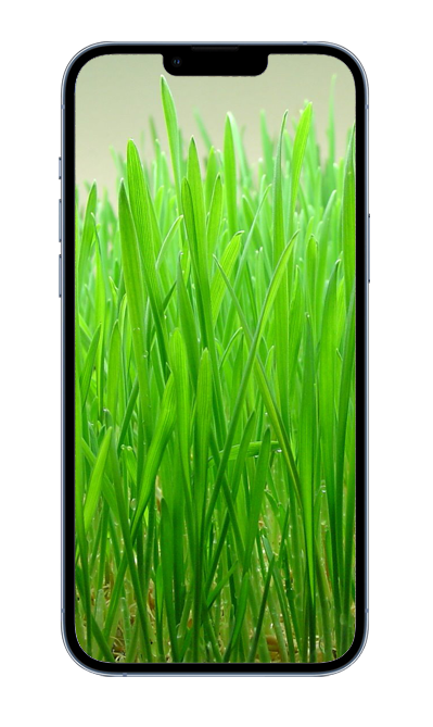 Карта с радиусом поиска